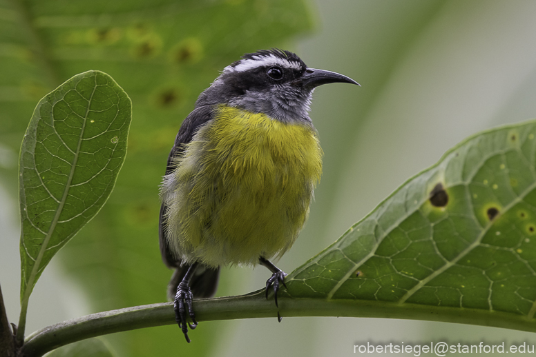 ecuador
